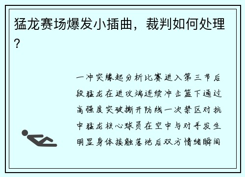 猛龙赛场爆发小插曲，裁判如何处理？